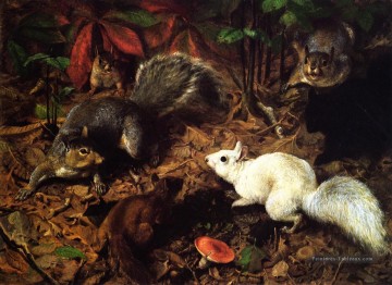 Écureuils connu sous le nom de l’écureuil blanc William Holbrook Beard Peinture à l'huile